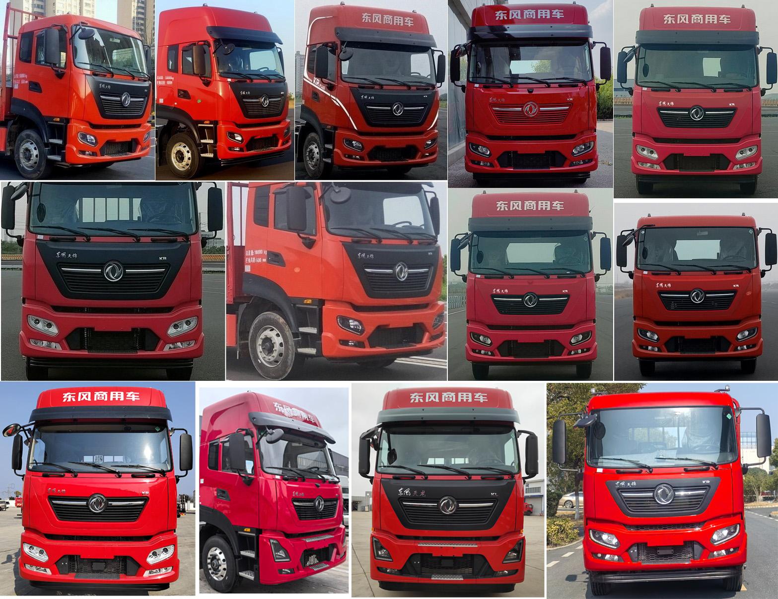 LMX5250XCQDF6 雏禽运输车